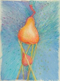 <div class='title'>Shelter </div><br>mixed media<br>29"w x 34"h<br>