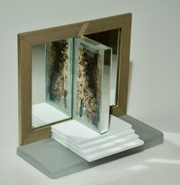 <div class='title'>Step Up</div><br>Mirror, shells, porcupine quills, leaves, grass, glass<br>11"h x 12.5"w x 7"d<br>