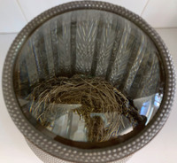 <div class='title'>Nesting</div><br>Bird's nest, prisms, lens, chain, ceramic plate, copper foil lead solder<br>10"h x 11"w x 11"d<br>